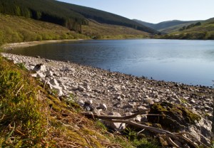 Glensherup Reservoir