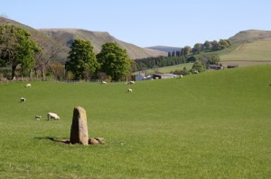 Standing Stone - Looking towards Glen Eagles