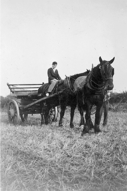 Haywain in Shammer, Norfolk, 1935