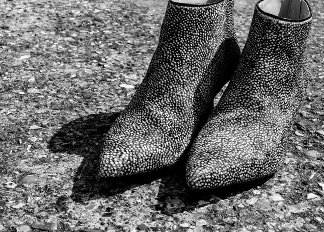 Feathers on Concrete-2