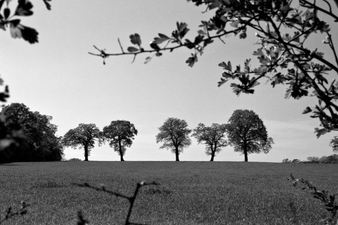 5639569515_1c5ccc635b_b