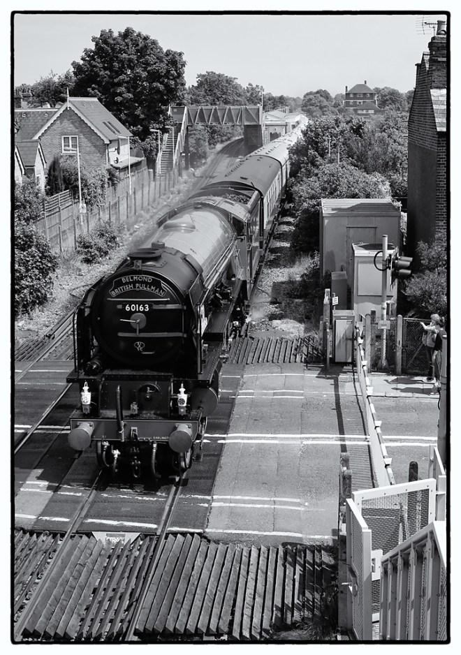 60163 'Tornado' runs through North Sheen with the Bemond British Pullman.   Interesting fact - this Steam Locomotive is newer than either of the trains pictured above!