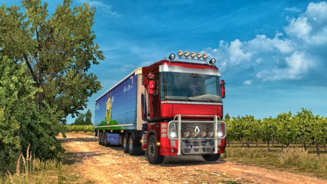 Collection from a Bordeaux Vinyard