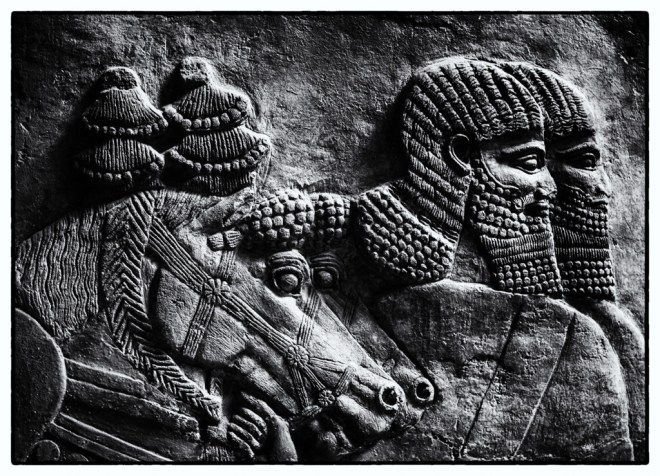 Horses and Charioteers